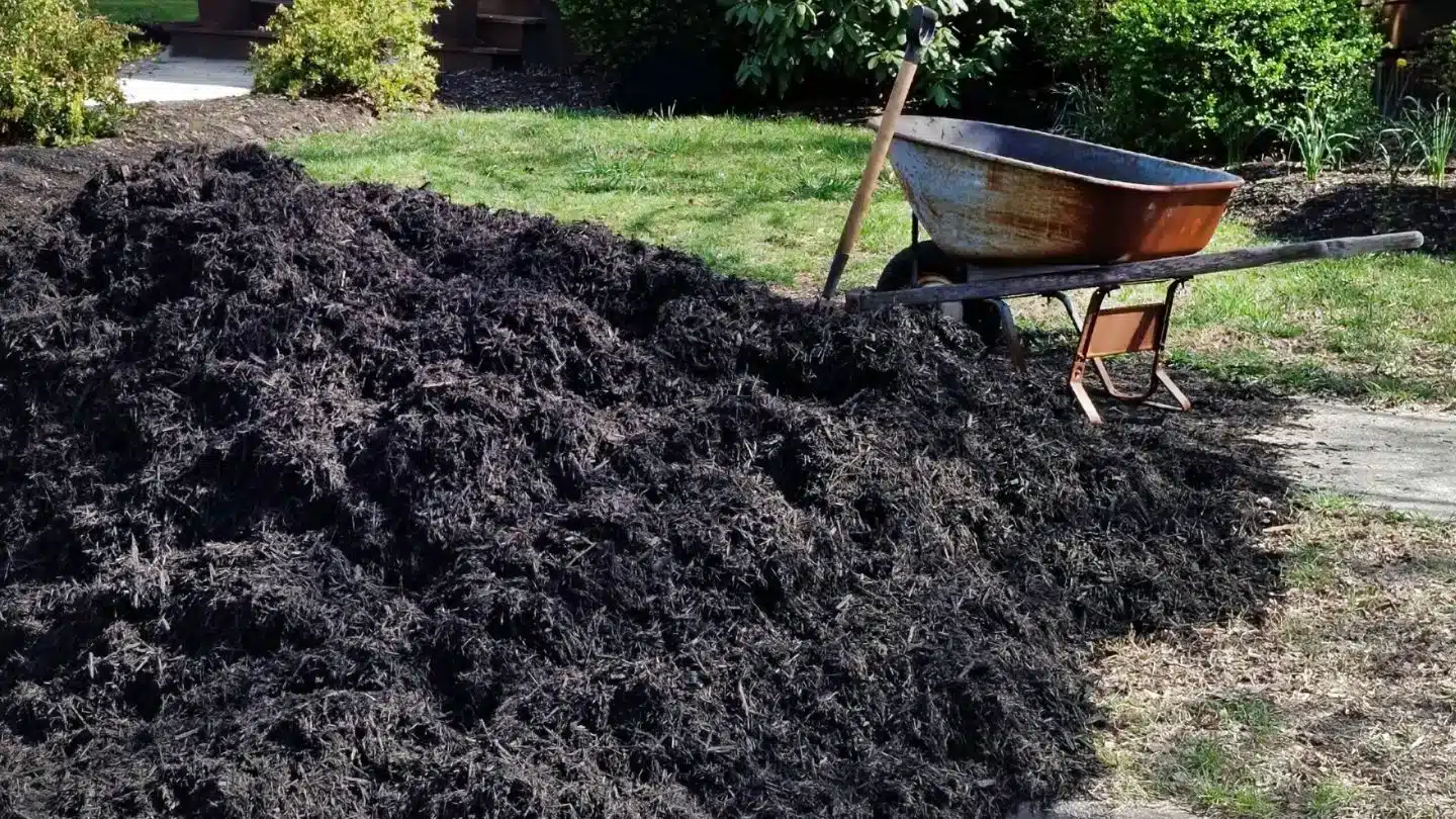 Bulk Hardwood Mulch Ready For Landscape Installation