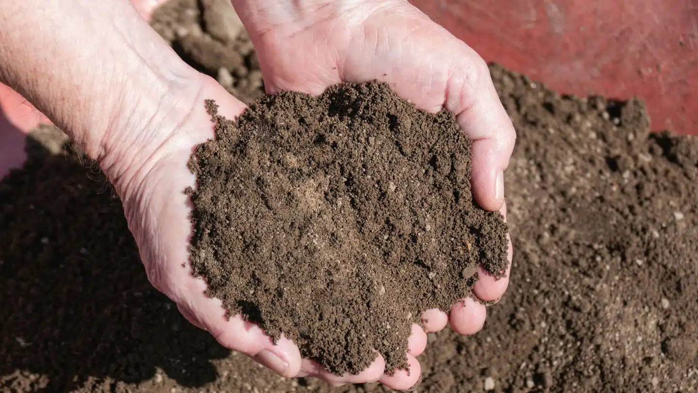 Premium Screened Topsoil Ready For Landscaping Use
