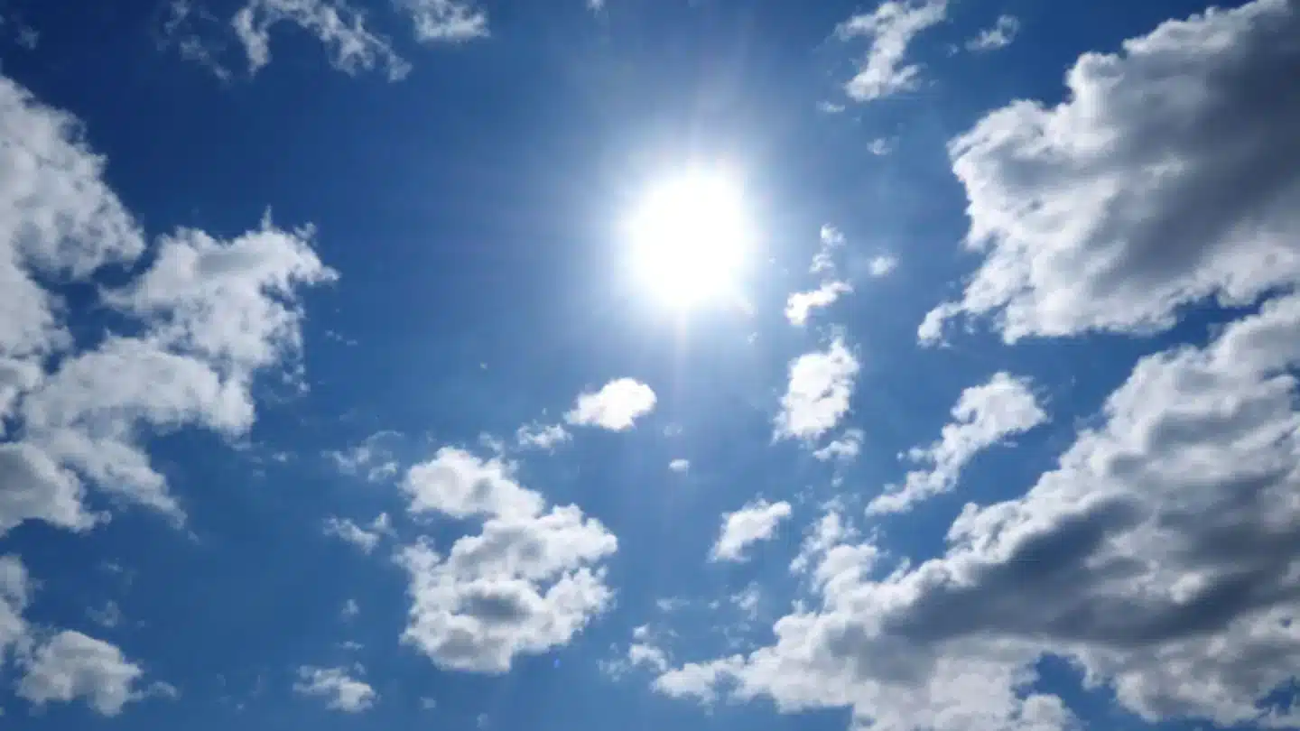 Sunny Weather Conditions Affecting Landscape Planning