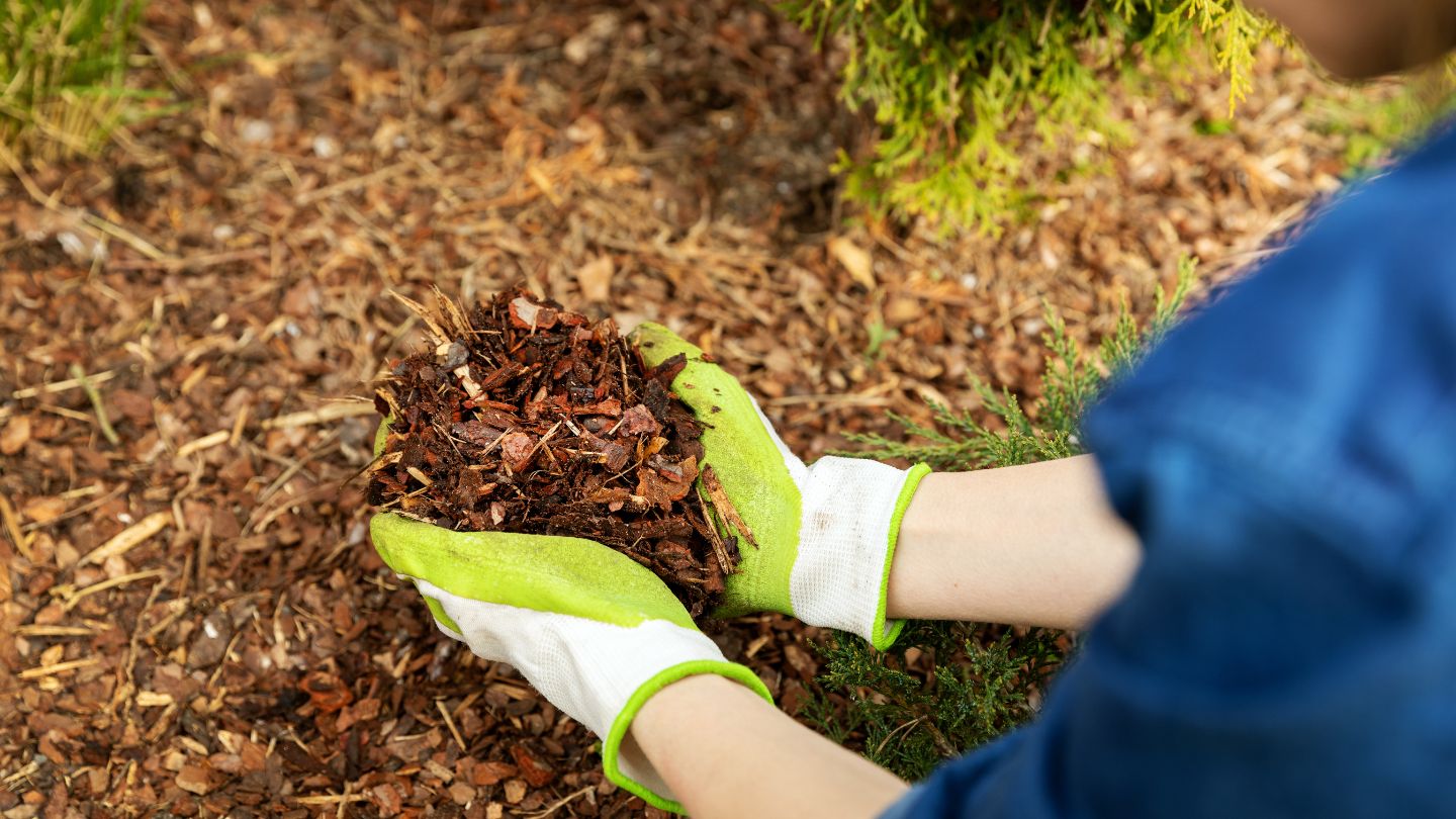 Optimal Timing for Mulch Refresh in Johns Creek
