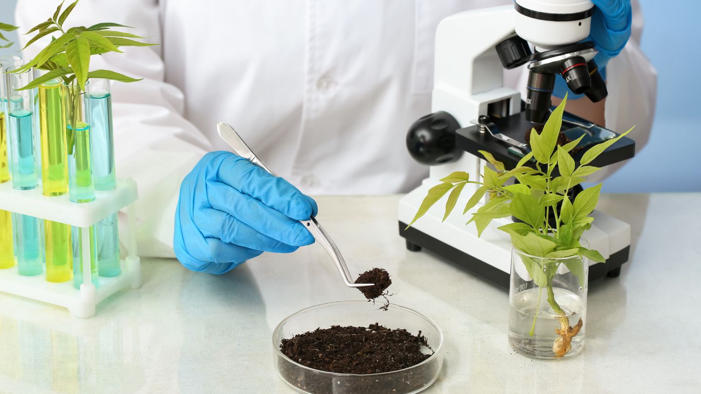 Professional Soil Testing Benefits