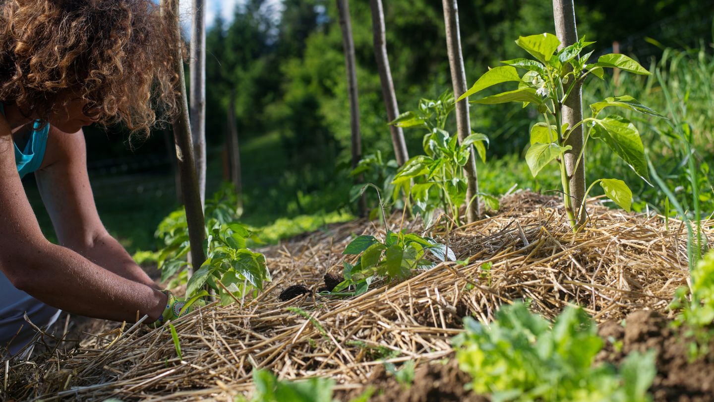 Build a Smarter Property Maintenance Strategy