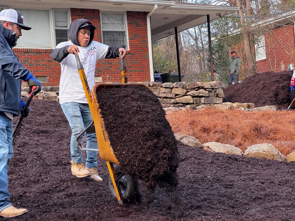 Dark mulch cascading from a wheelbarrow as the crew spreads beds.