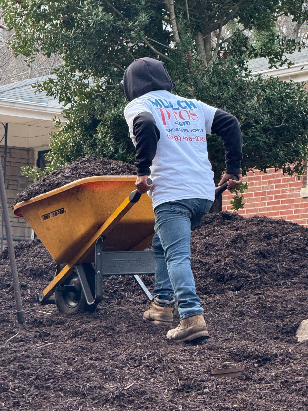 A crew member in a MulchPros shirt guiding a wheelbarrow across the yard.