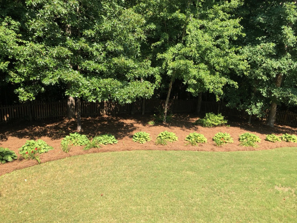 Backyard beds dressed in fresh pine straw along a fenced tree line.