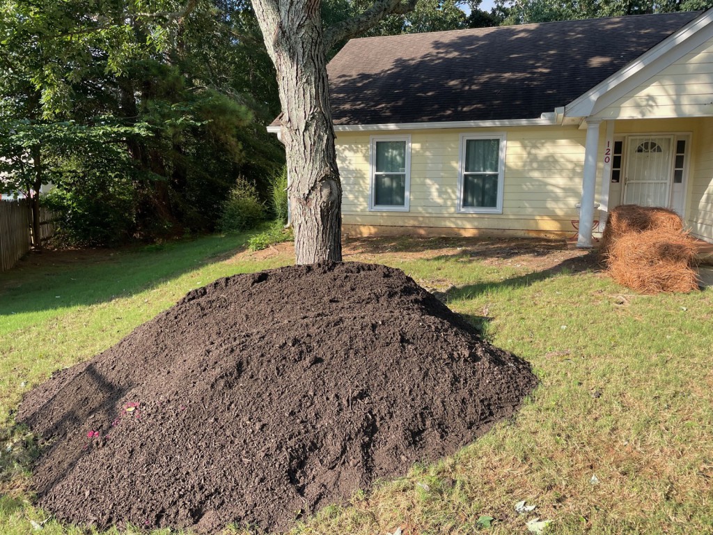 Screened topsoil delivered under a shade tree with pine straw at the porch.