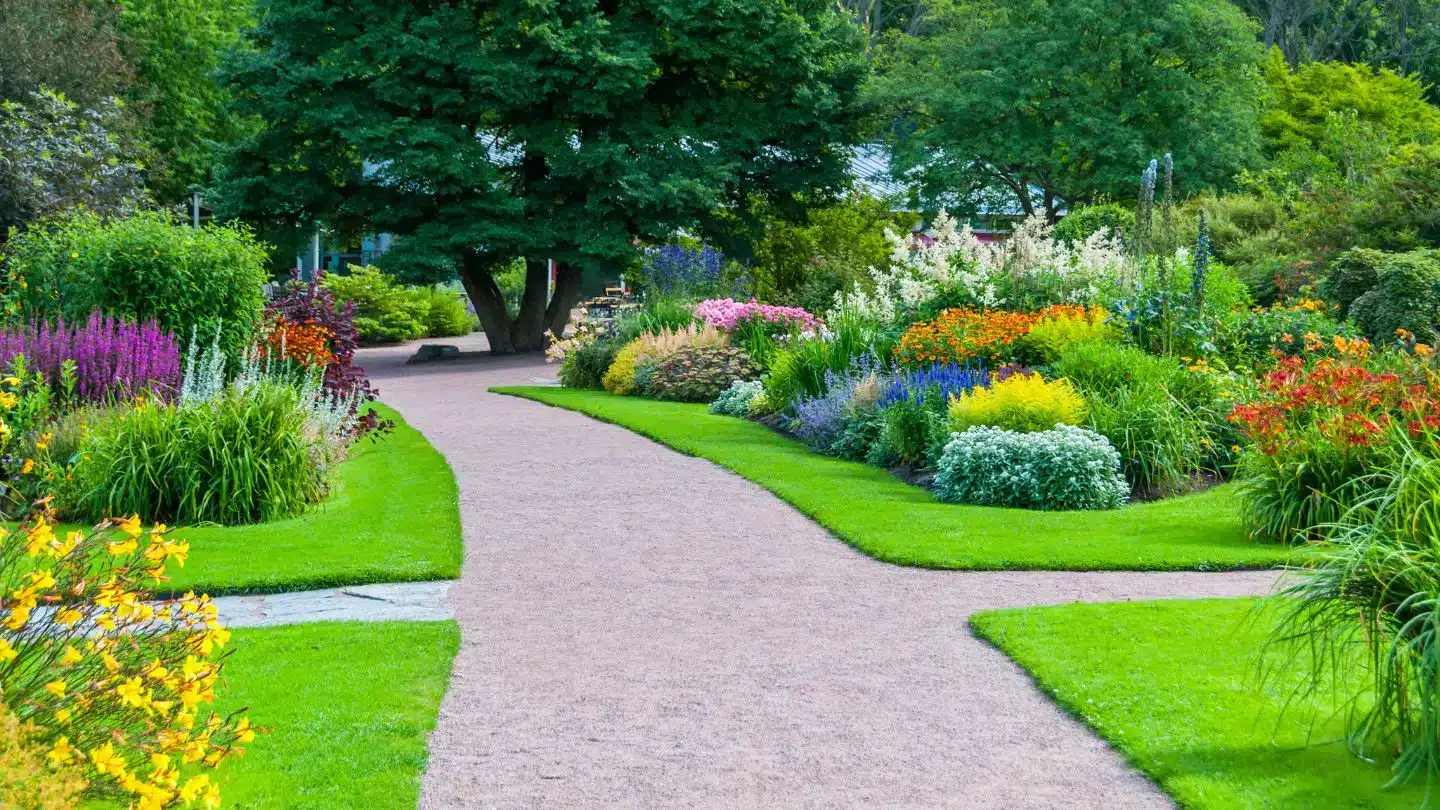 Garden Path Surrounded by Flowers
