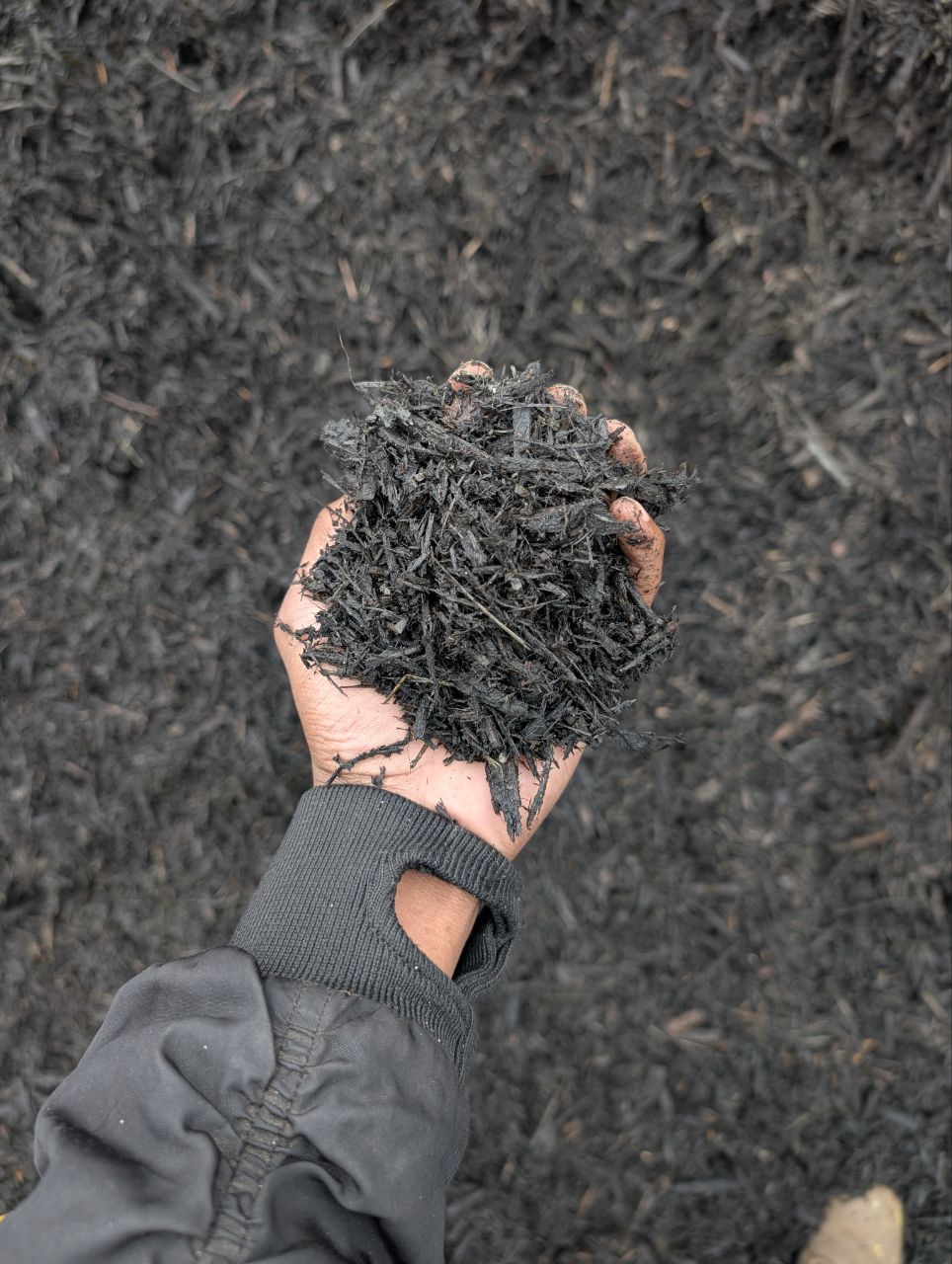 Black Mulch - Bulk (per Cu Yd)