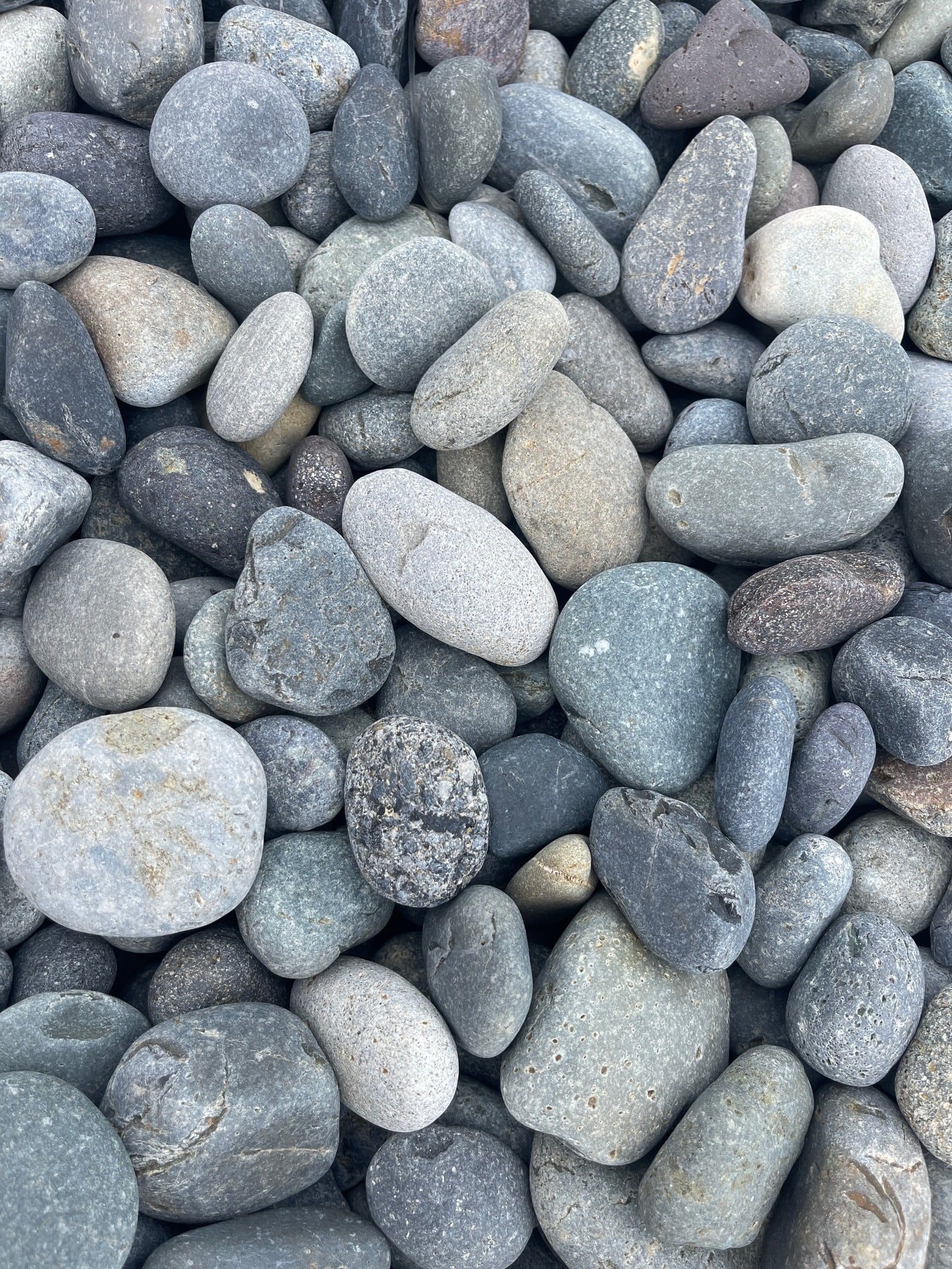 Black Mexican Beach Pebbles 2-3 in. Pallet