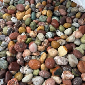 Exotic Mexican Beach Pebbles 1-2 in. Pallet