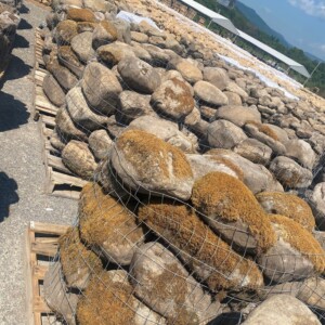 Weathered Tennessee River Rock - Mini Boulders Pallet