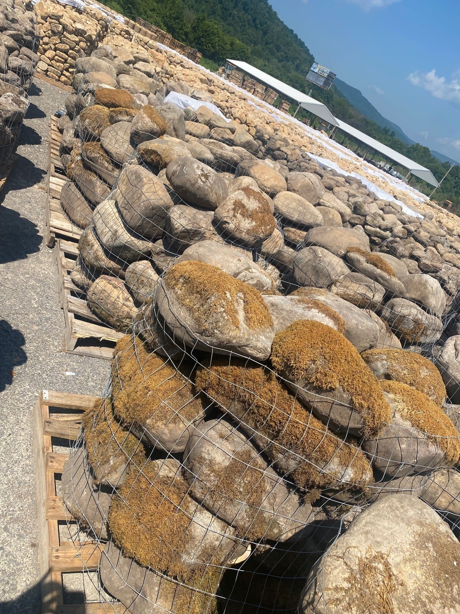 Piedra de Río Envejecida - Tarima Mini Boulders