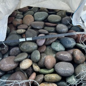 Rainbow Mexican Beach Pebbles 1-2 in. Pallet