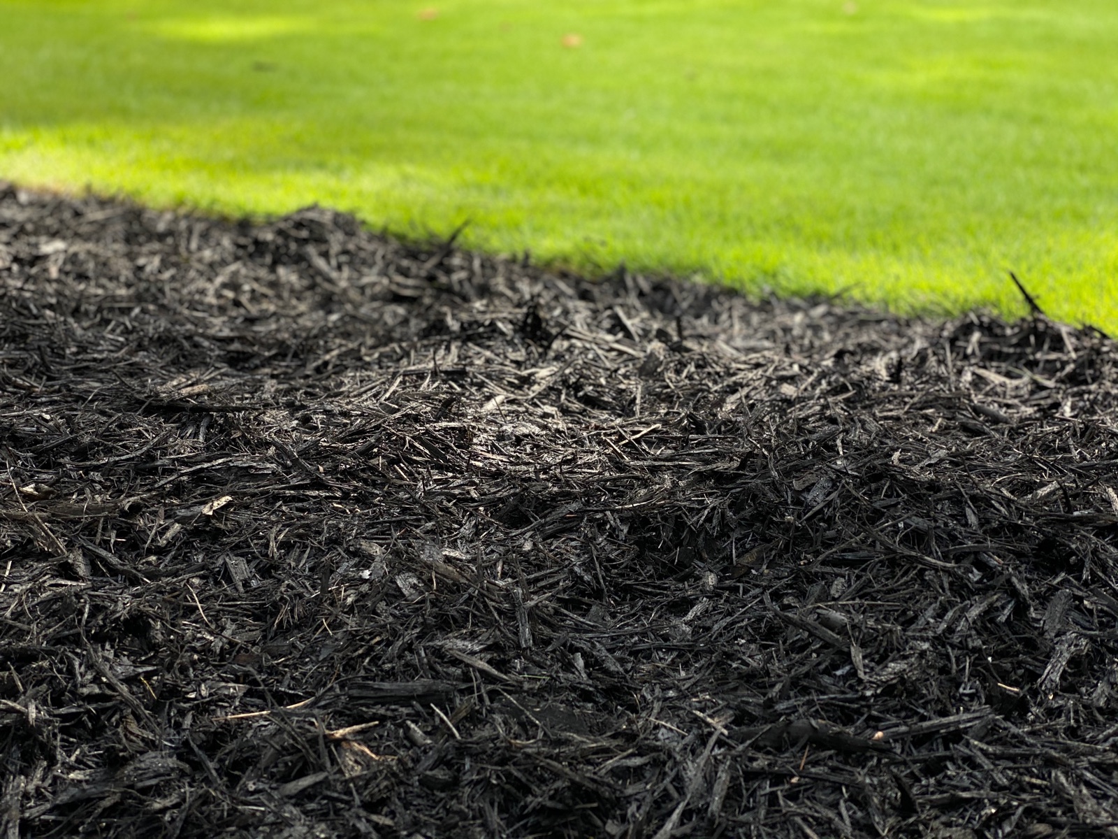 Black Mulch - Bulk (per Cu Yd)
