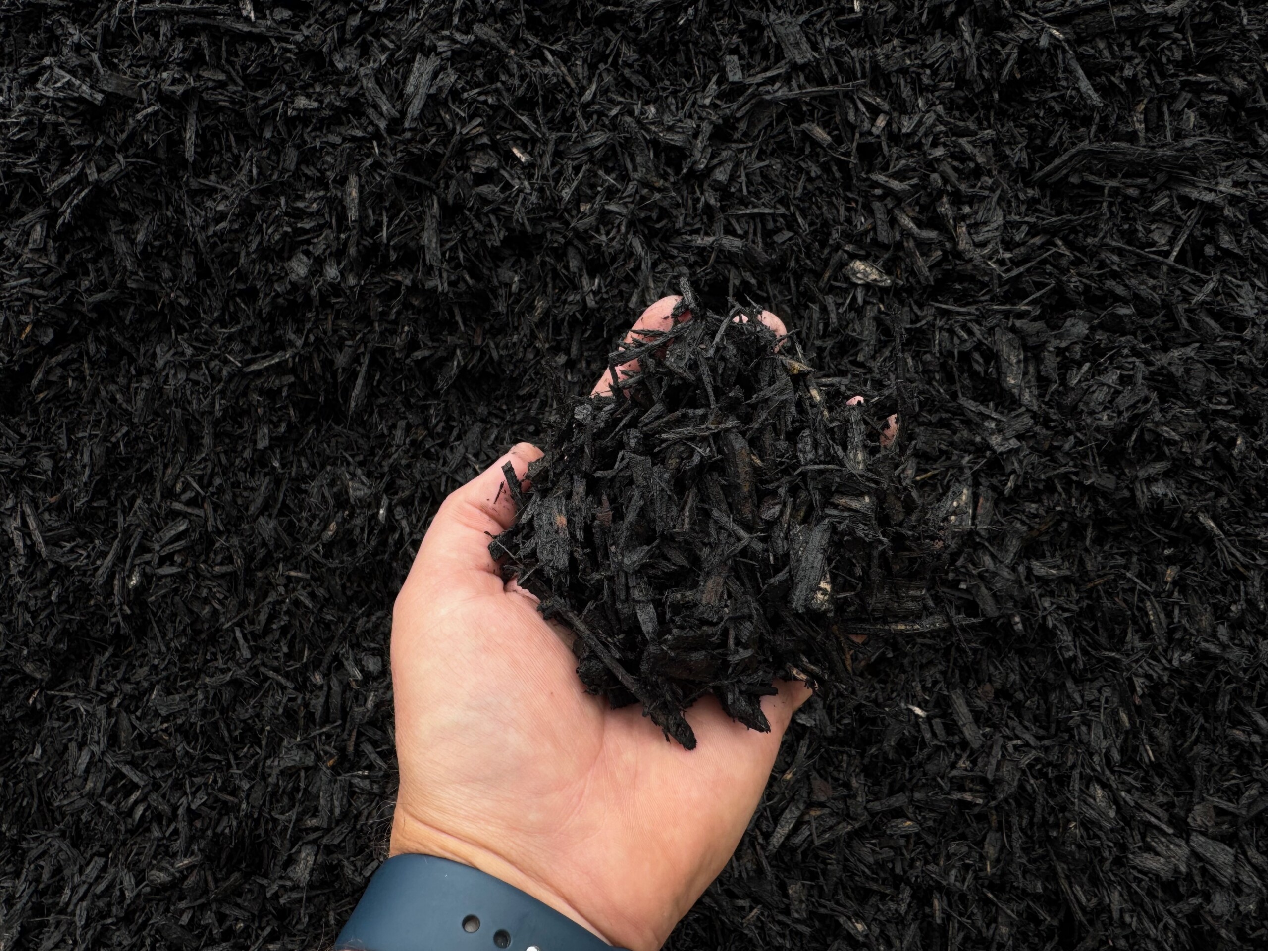 Black Mulch - Bulk (per Cu Yd)