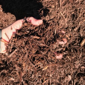 Brown Mulch - Bulk (per Cu Yd)