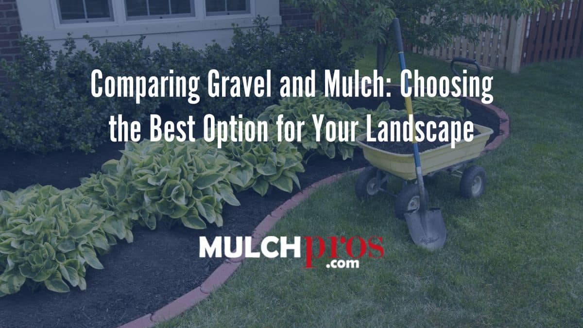 Comparing Gravel and Mulch: Choosing the Best Option for Your Landscape