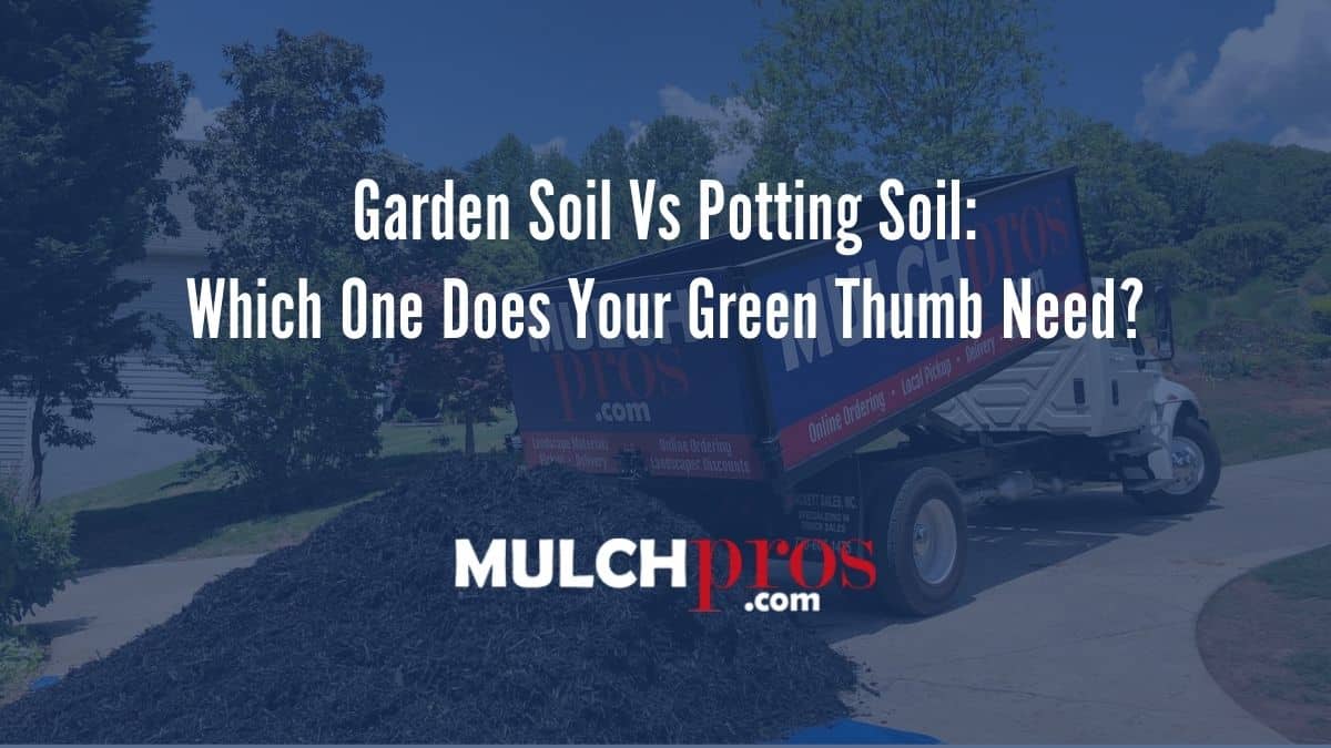 Garden Soil Vs Potting Soil: Which One Does Your Green Thumb Need?