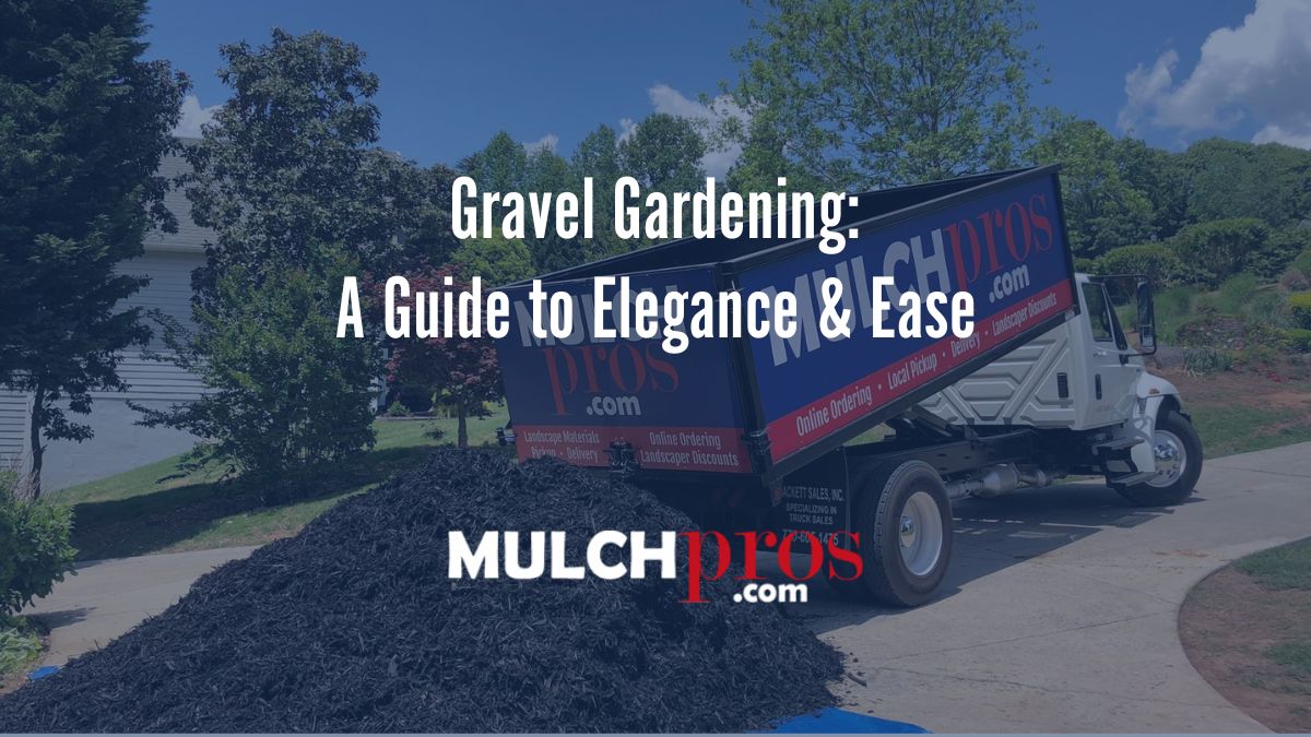 Gravel Gardening: A Guide to Elegance & Ease