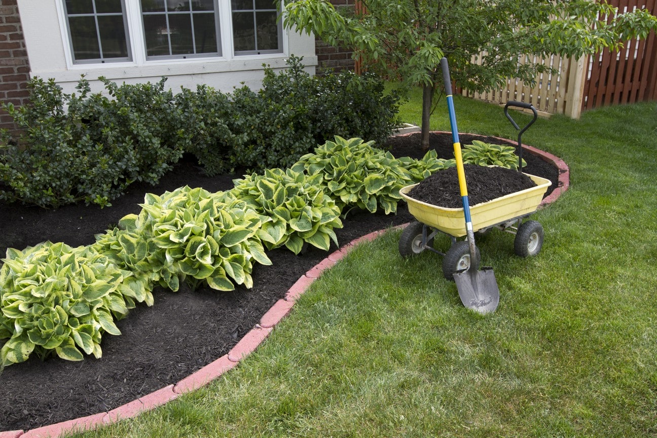 Black Mulch - Bulk (per Cu Yd)