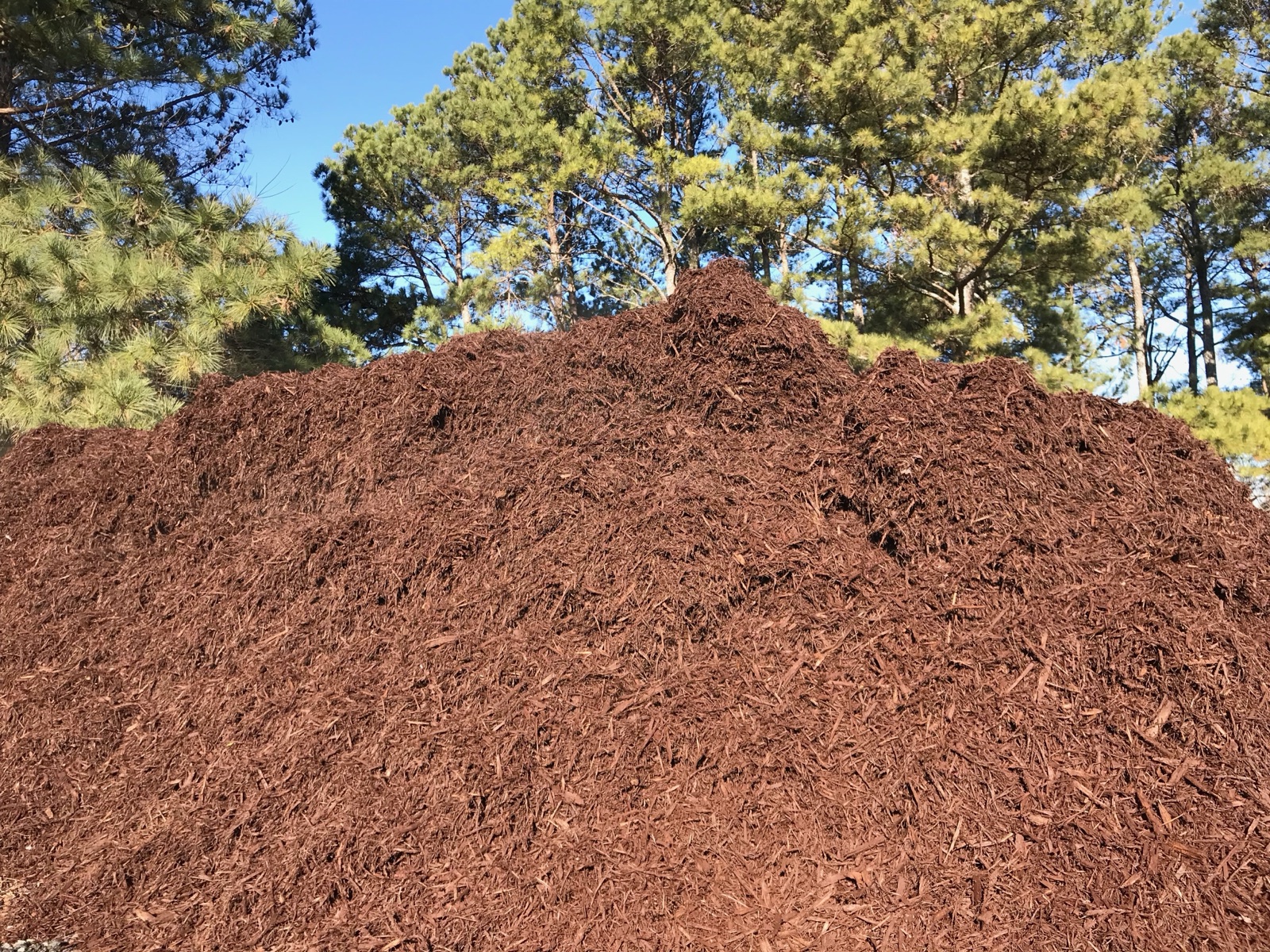 Mantillo Rojo