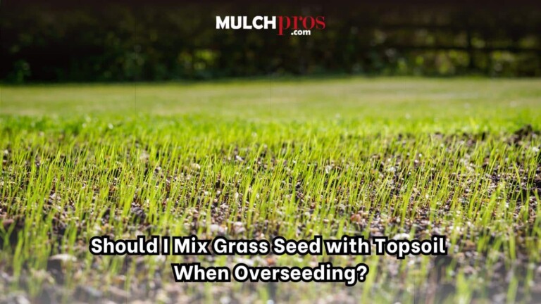 Should I Mix Grass Seed with Topsoil When Overseeding?