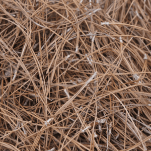 Slash (Short Needle) Pine Straw - Bale