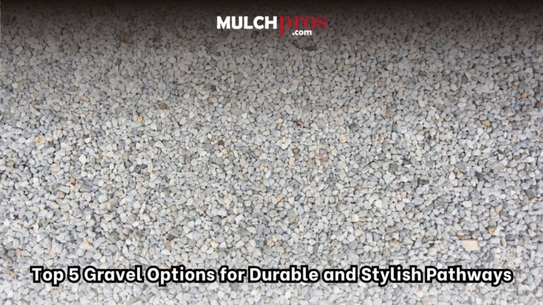 Top 5 Gravel Options for Durable and Stylish Pathways