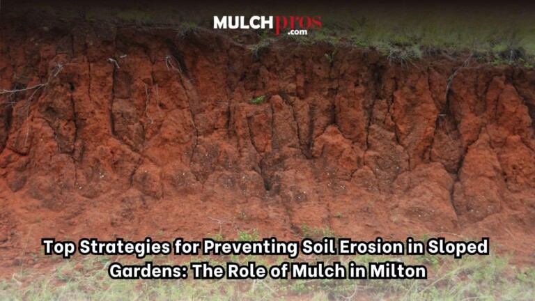 Top Strategies for Preventing Soil Erosion in Sloped Gardens: The Role of Mulch in Milton