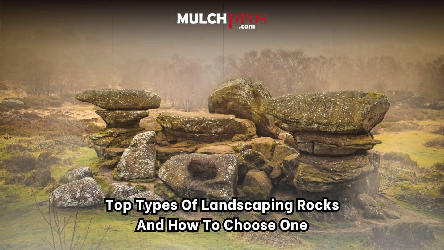 Top Types of Landscaping Rocks and How to Choose One