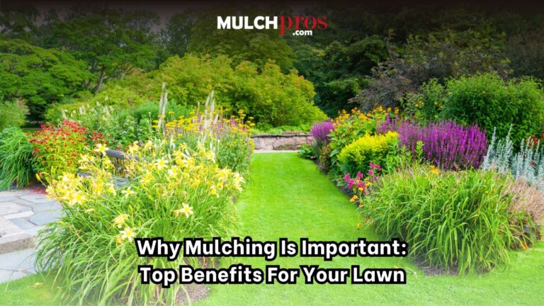 Why Mulching Is Important: Top Benefits for Your Lawn